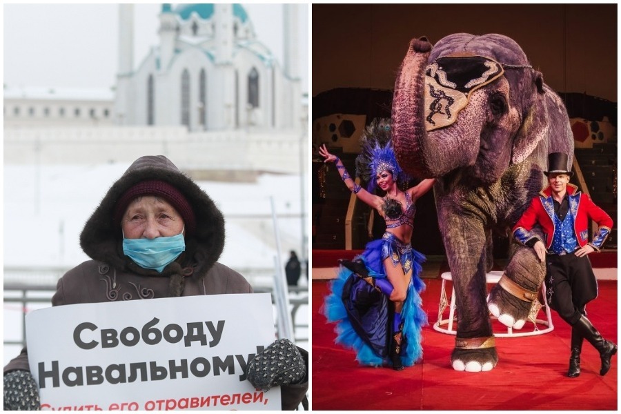 «Самое ужасное, что дочка обвинила в этом меня!»: казанец требует компенсацию за отмену шоу слонов в цирке из-за протестного митинга