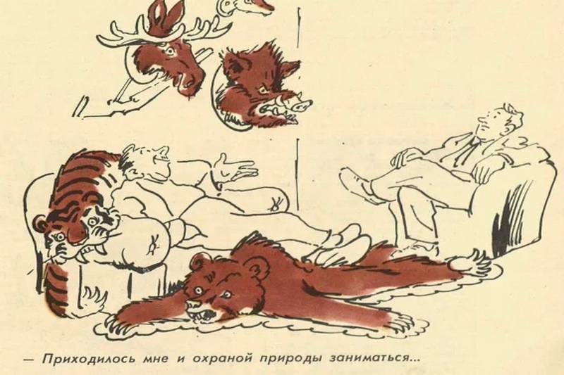 А номера-то знакомые: охрана нацпарка «Нижняя Кама» в Татарстане, где браконьеры средь бела дня убили лося, вышла на след сотрудников Минлесхоза и Минэкологии