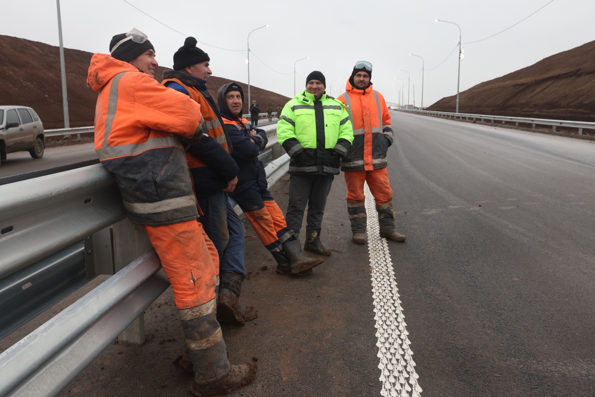 Экопереходы для животных, платный проезд для людей: все о новой трассе М-12