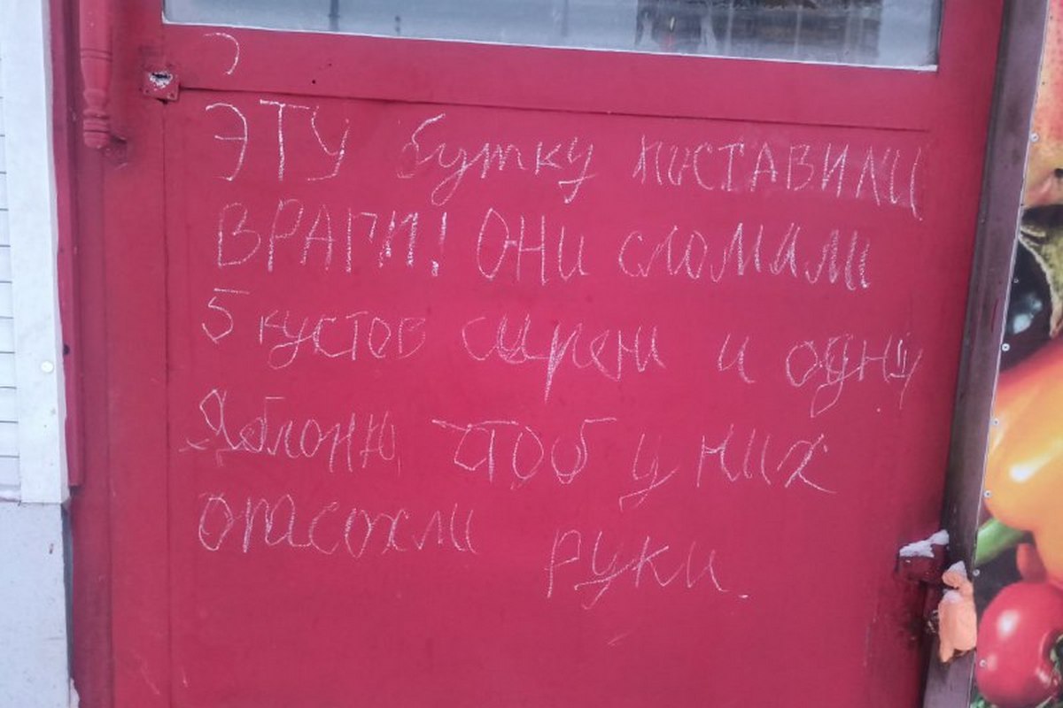 «У нас что в городе, власти нет? Полный бардак?»: казанец возмущен, что на месте деревьев, которые он посадил у дома в память об умершей жене, ночью поставили ларек 