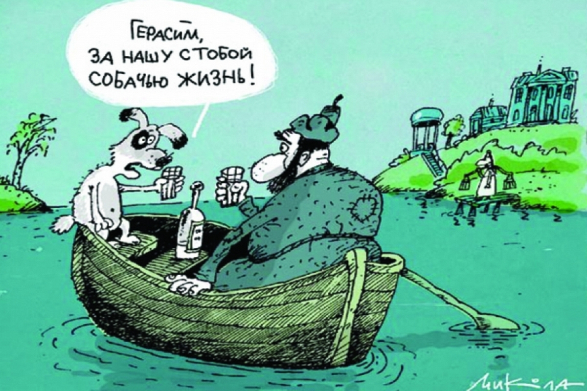 «Говорят, что у нас люди живут хуже собак»: в Татарстане «единороссы» озаботились гуманным отношением к животным