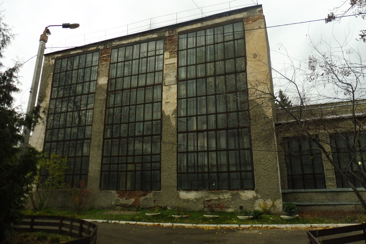 «Она сама упала»: в исторической части казанского зооботсада умудрились срубить 135-летнюю лиственницу