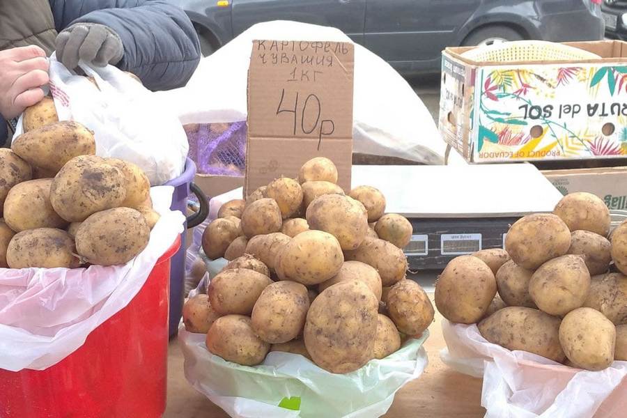 «Гнут цену в два-три раза выше»: татарстанские фермеры ругают перекупщиков, взвинтивших цены на картошку