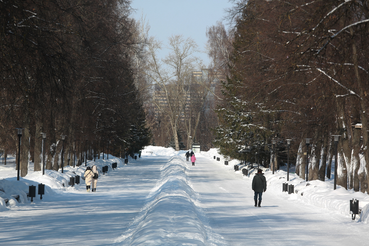 В «изрядно понадкусанном» казанском парке Горького снова закипит стройка?