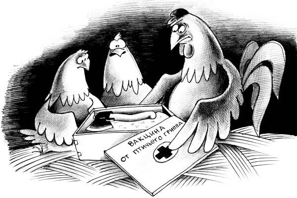 Зараженные птичьим гриппом лаишевские яйца казанцам посоветовали сжечь, закопать или сварить вкрутую