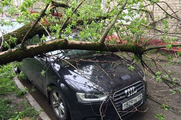 Казанские автомобили под ударом: то хулиганы нападут, то дерево свалится