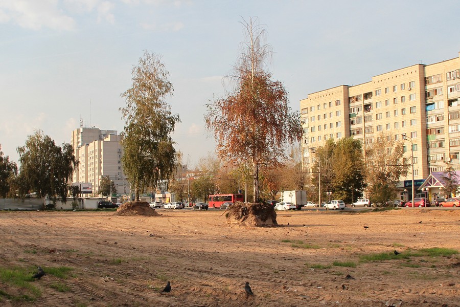 Березы на улице Фрунзе уничтожают, чтобы... разбить сквер