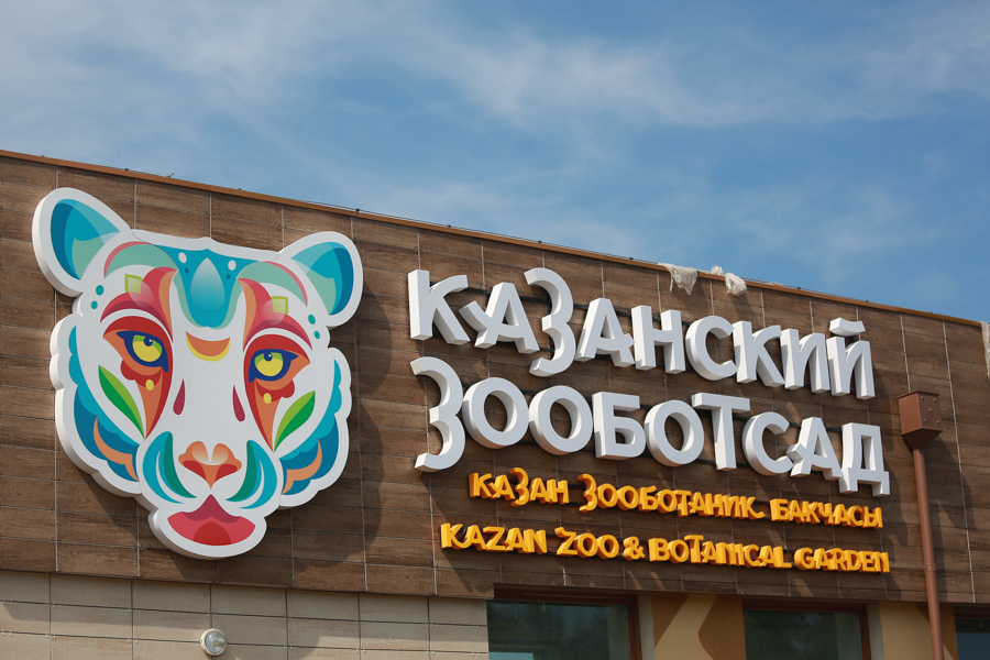 Львов и гамадрилов в новом казанском зоопарке заставят добывать себе пропитание