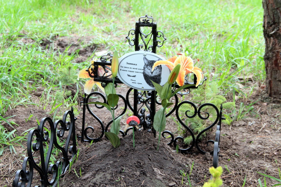 Казанцы возмущены появлением кошачьей могилы в парке Победы