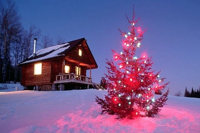 Депутаты голосуют за елочный патриотизм