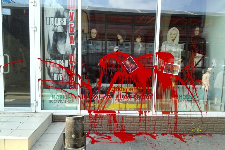 Витрину магазина шуб в Казани изуродовали «зеленые» экстремисты?