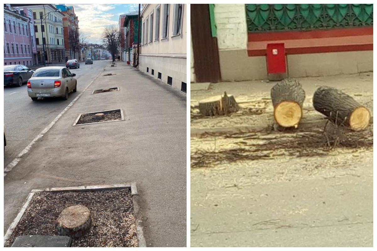 «Видно, посадка молодых саженцев приносит большие доходы»: казанцев шокировал грандиозный лесоповал в центре города