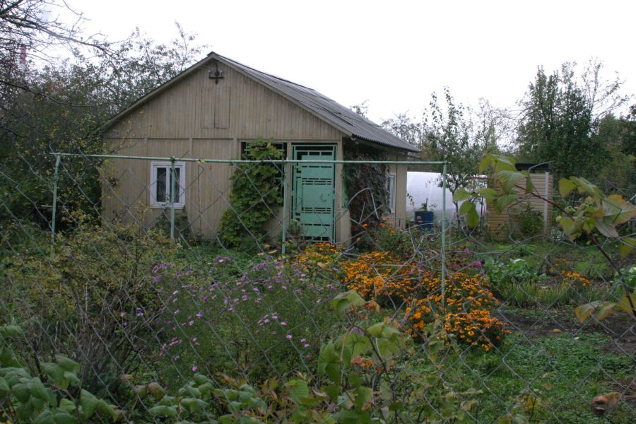 Садоводы и дачники ждут помощи 