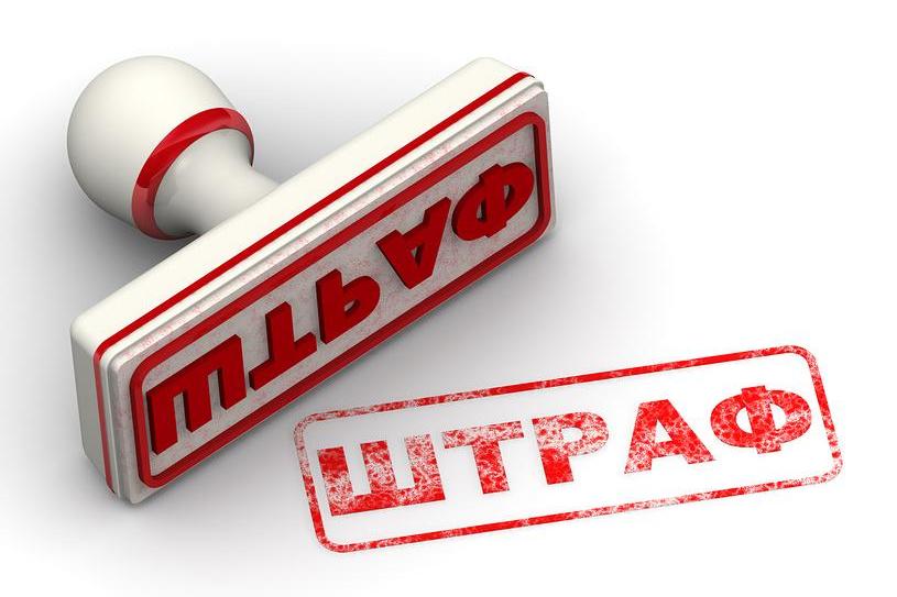 «Дурное воспитание»: маму казанской школьницы, отказавшуюся от уроков родного языка, оштрафовали на 200 рублей