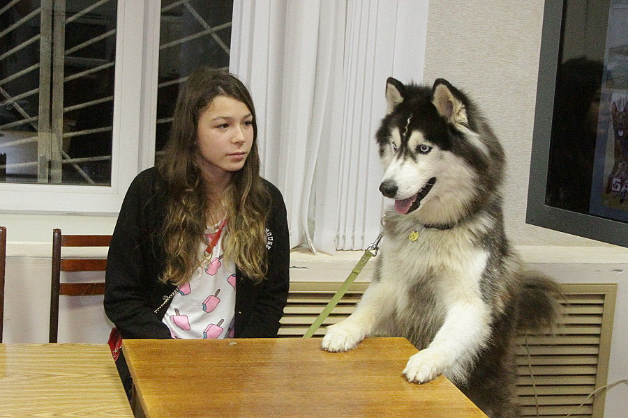 Казанский собачий театр замахнется на Экзюпери