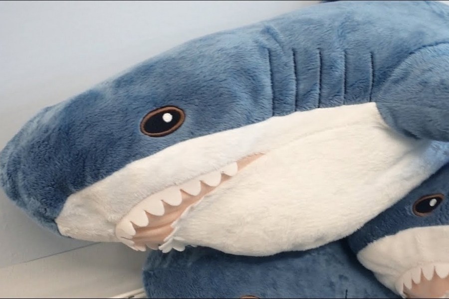 Лучший подарок: Казань сходит с ума по икеевским плюшевым акулам
