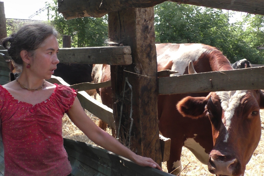 В Казани у коров нашлись защитники 