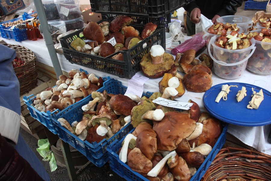 Грибники в лес за грибами, спасатели - за грибниками