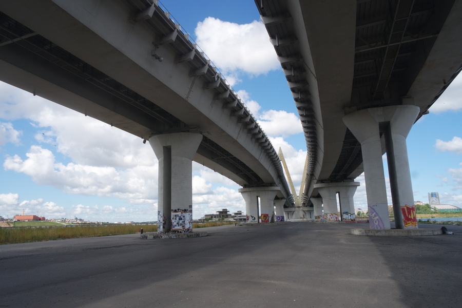 На опорах казанского моста «Миллениум» предлагают нарисовать Виктора Цоя и Майкла Джексона