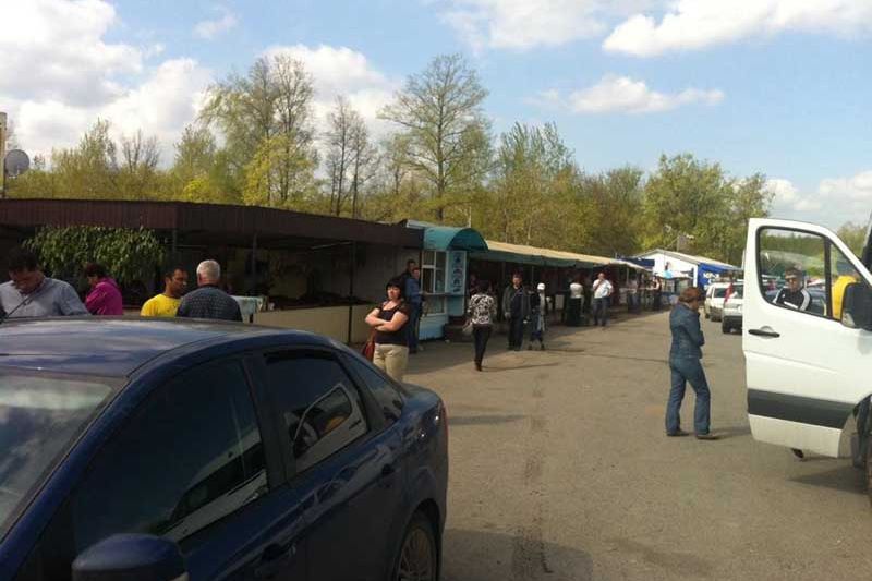 Как в лесу закон нарушают