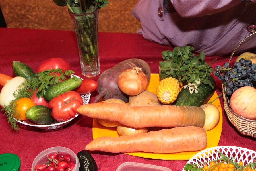 Казанские пенсионеры не оценили красоту морковки