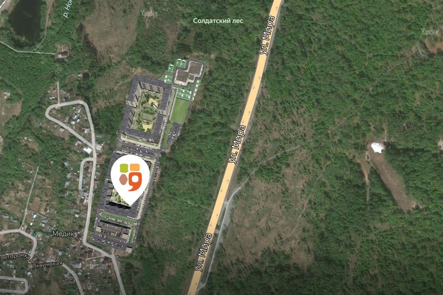 «Разве в Казани пустырей мало?»: жители «красных» Дербышек защищают от застройки Солдатский лес