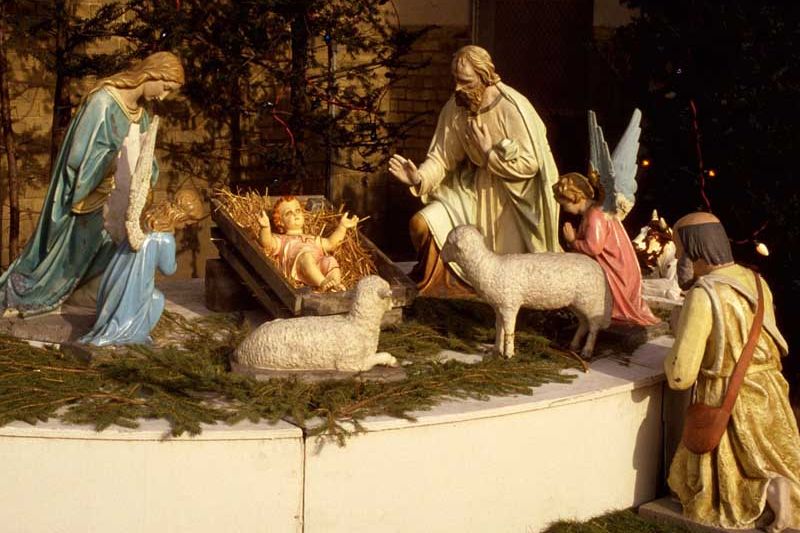 Чайка приглашает на Рождество 