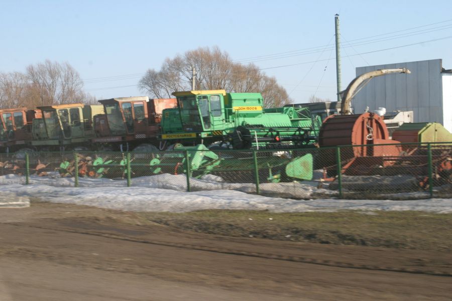 Прожорливые полевки уничтожают посевы