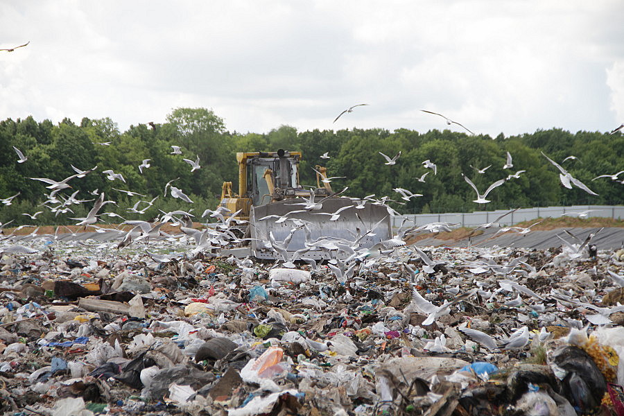 Ученые — о строительстве мусоросжигательного завода в Казани: «Нельзя же построить на весь город один большой сортир!»