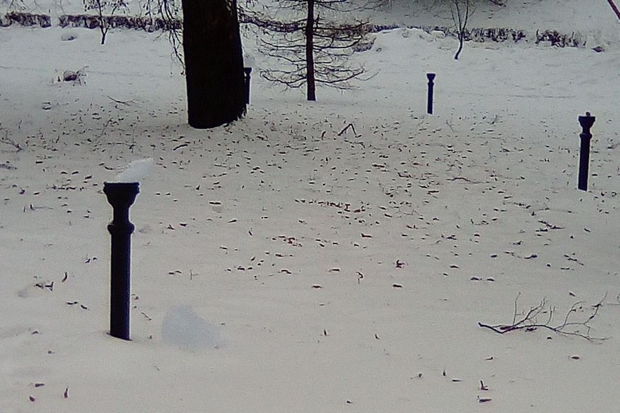 Наталия Фишман: «Почему прямо перед зданием МВД колотят фонари — это не ко мне вопрос»