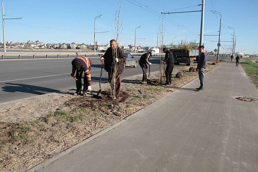 ПСО «Казань» ставит «зеленый рекорд»: на Ленинской дамбе третий раз сажают деревья