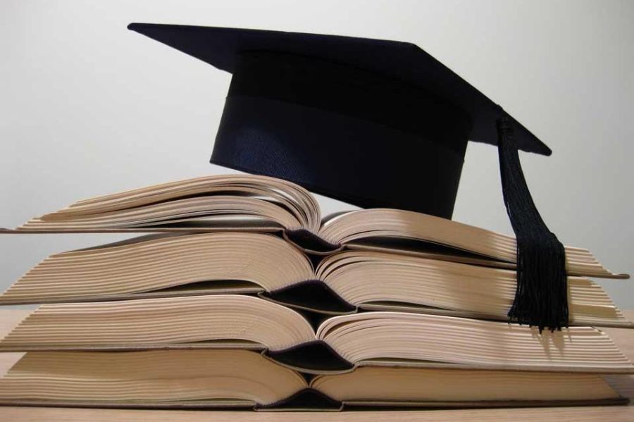 Доцента юрфака КФУ уличили в плагиате