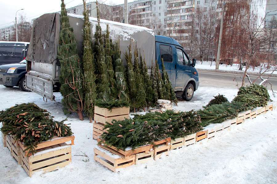 Из-за кризиса на казанских базарах подешевели елки