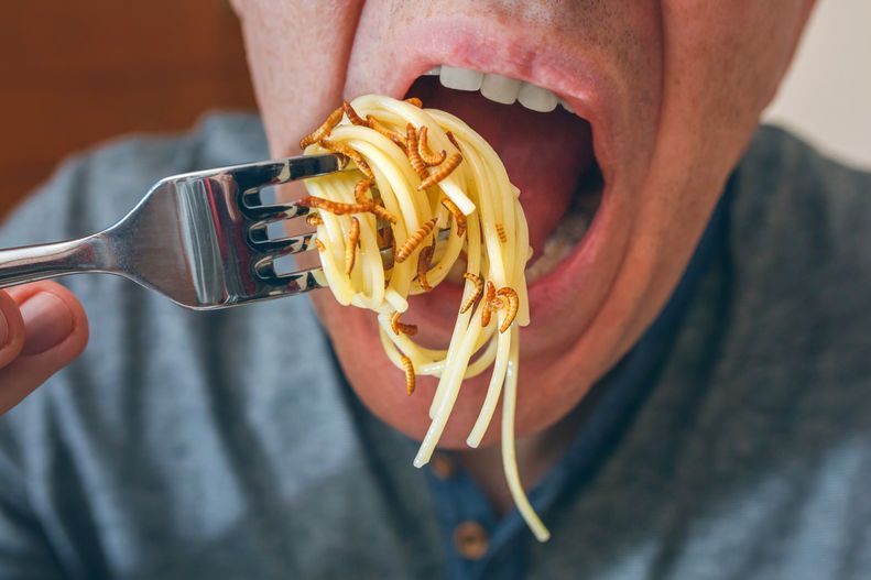 Ватрушки с червями, макароны с волосами: в Татарстане бизнес-леди не признала, что плохо кормила полицейских