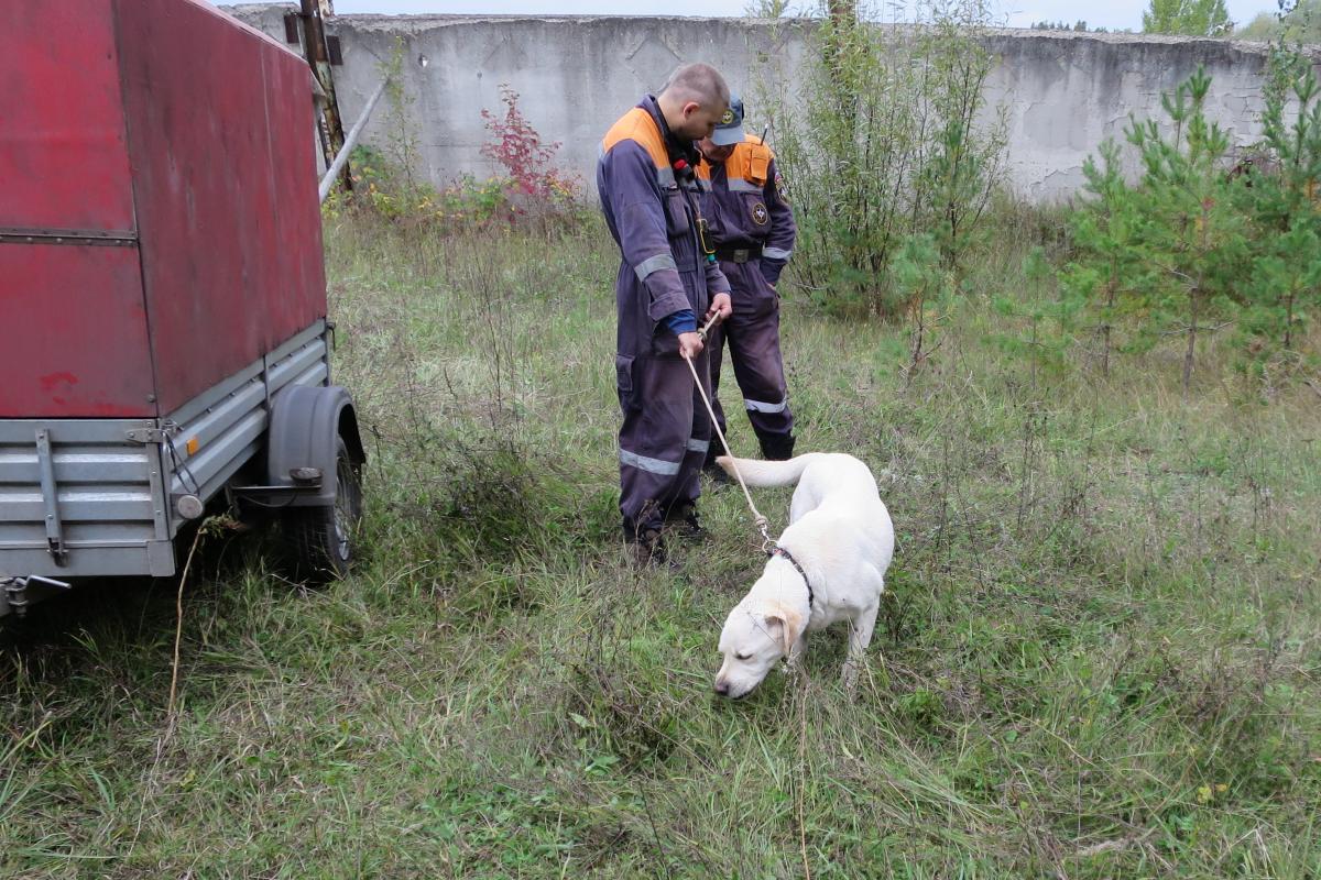 Пропавший в лесу казанский профессор перед исчезновением оставил жене записку