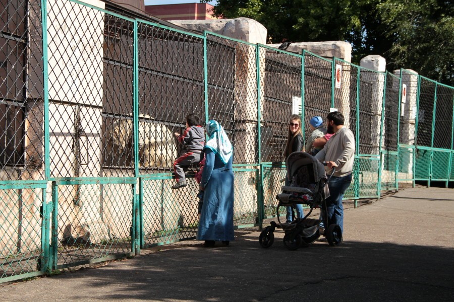 Рвы и провода под током заменят клетки в казанском зоопарке 