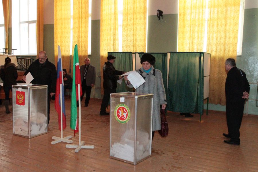 Путину в Казани оказали медвежью госуслугу