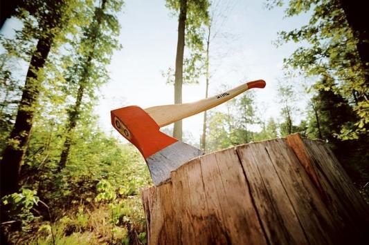 В Татарстане под видом саночистки вырубили сосновый бор