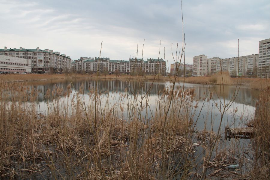 Можно многое изменить, если взяться всем миром