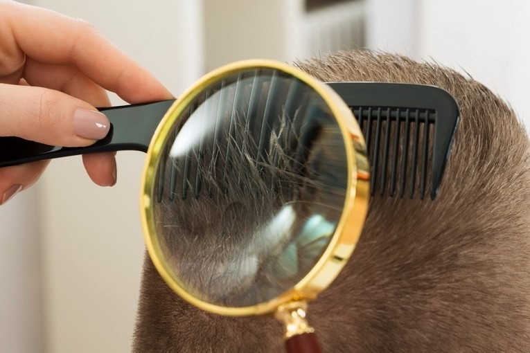 Татарстан и Крым выясняют, чьих вшей нашли у детей в «Артеке»