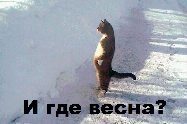 91-й день зимы: весна в Татарстане откладывается до апреля