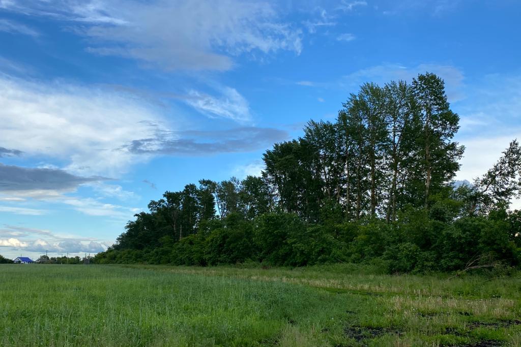 «Настоящего пахаря на пустом месте обвинили!»: в Татарстане лесники подвели под статью известного фермера