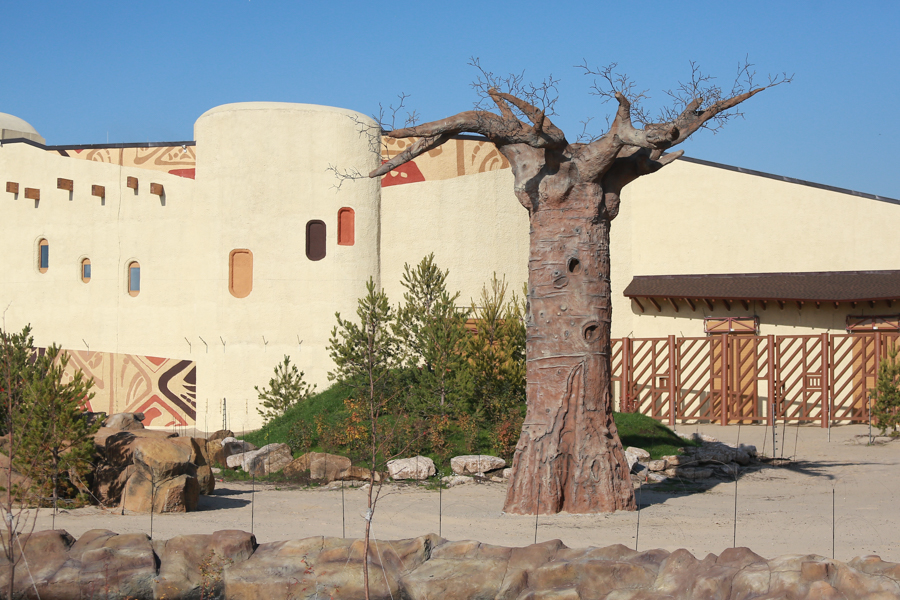 Обитателей казанского зоопарка усыпят перед великим переселением на «Реку Замбези»