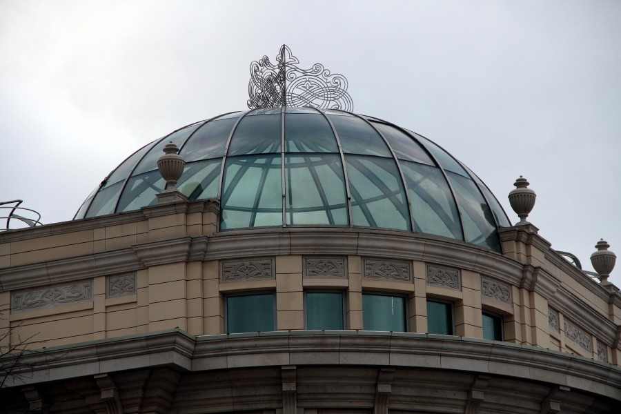 Редкая птица в Татарстане наделает на полмиллиона евро...