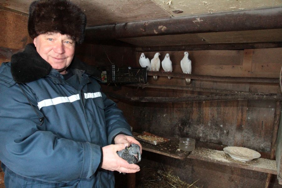 Потом все разъехались, а голуби остались