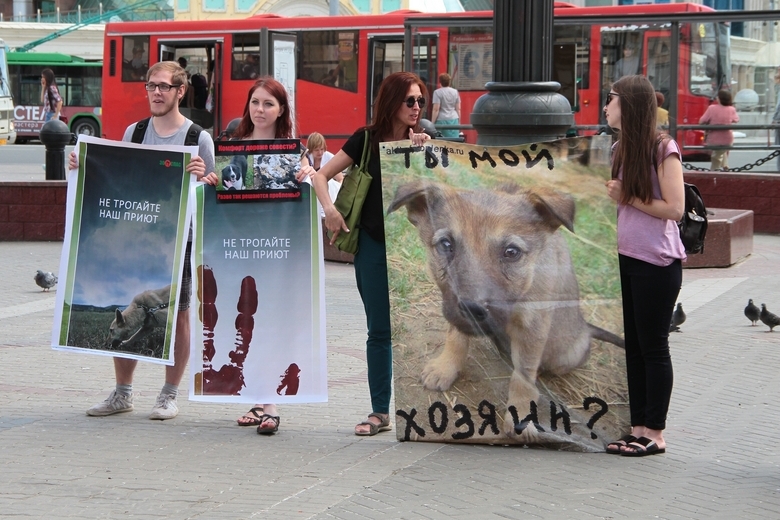 Казанцы помогают спасать приют в Ковалях