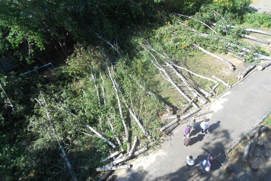 Нет деревьев — нет проблем: двору на Гвардейской ураган теперь не страшен!