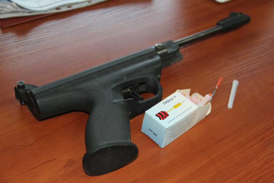 Бедная Лиза: наемники казанского исполкома стреляют в собак без разбора?