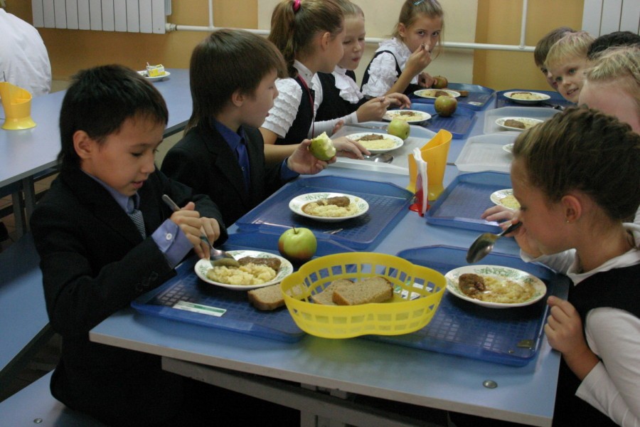 Стрижка купонов отменяется: кормежку казанских школьников не отдадут в частные руки