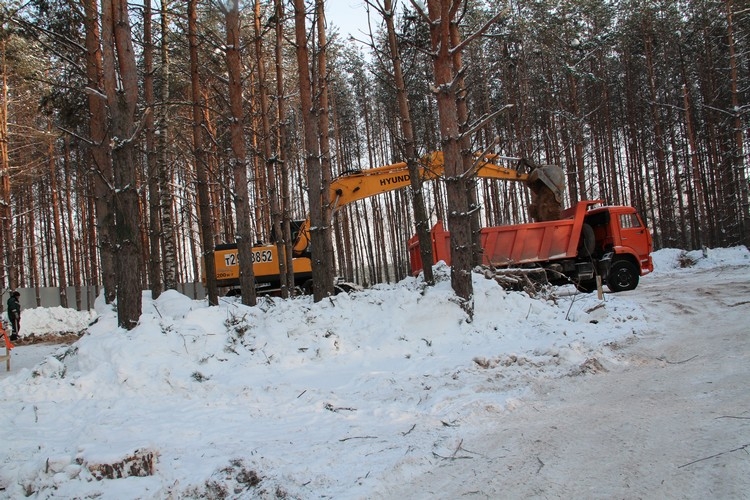 У семи нянек лес без сосен